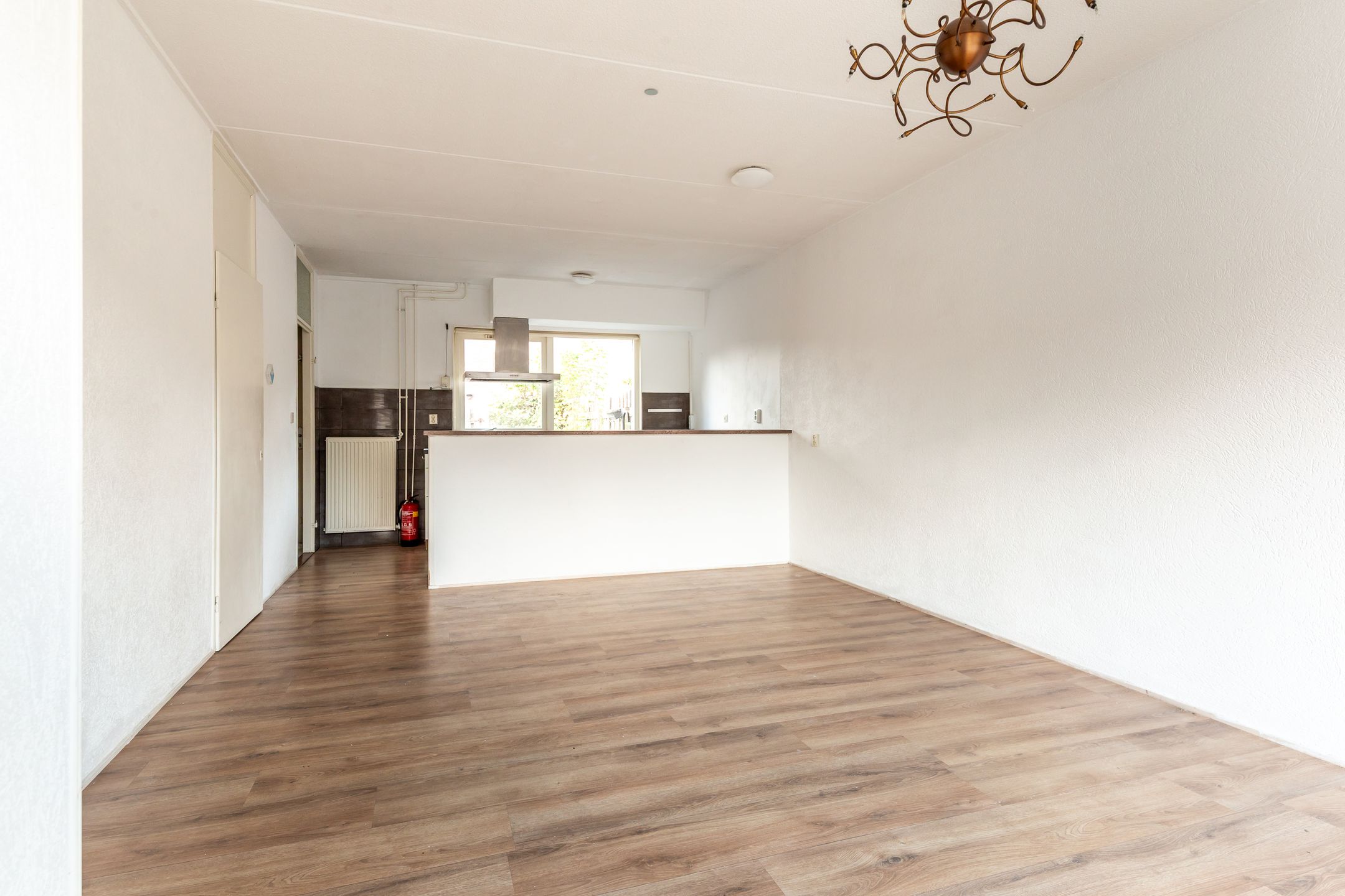 Foto 6 van Hoefblad 164