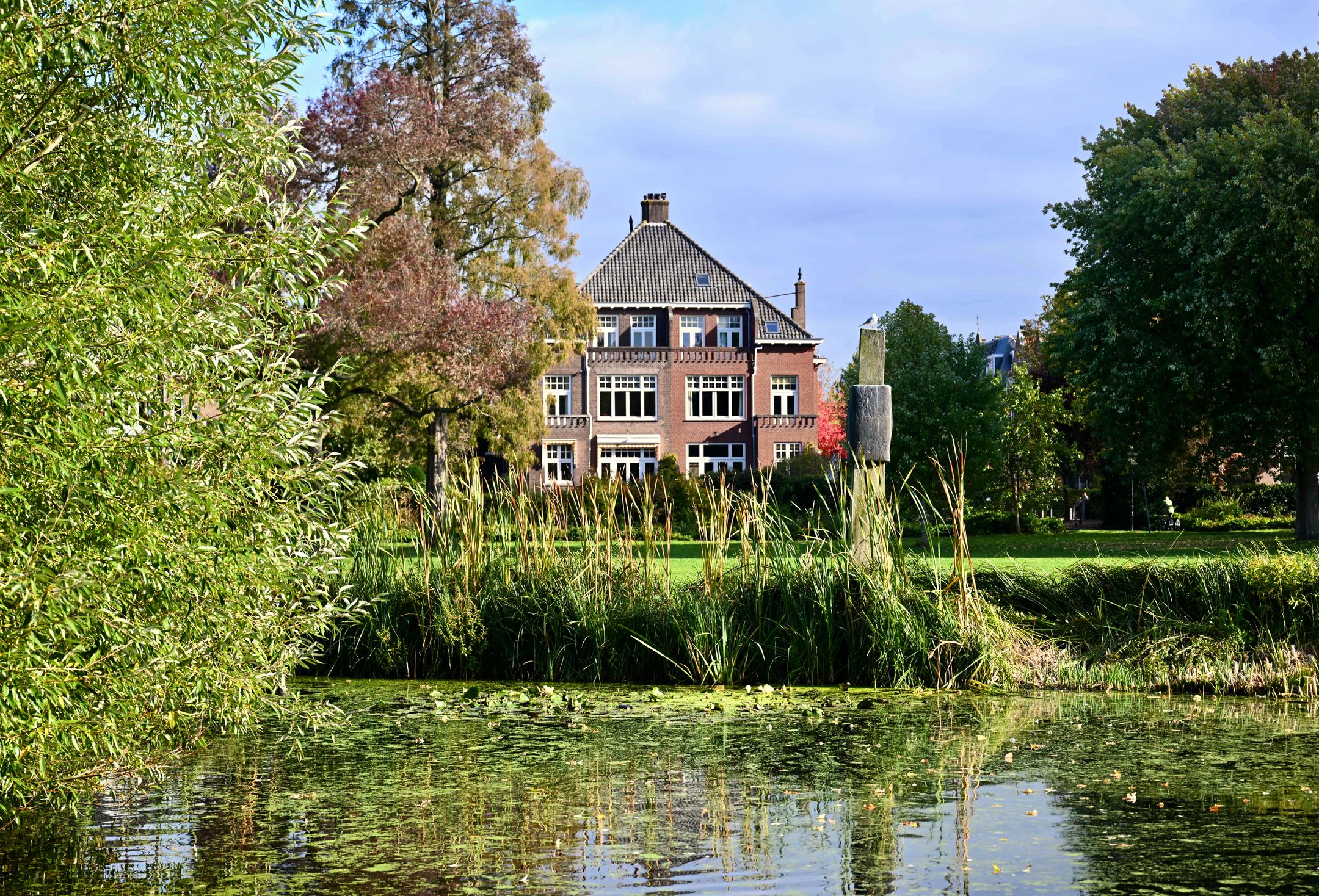 Foto 3 van Rozenburglaan 17