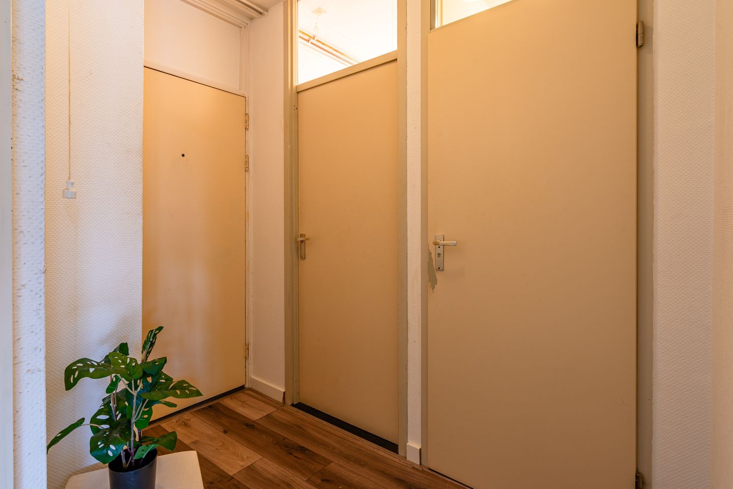 Foto 20 van Lupinesingel 106