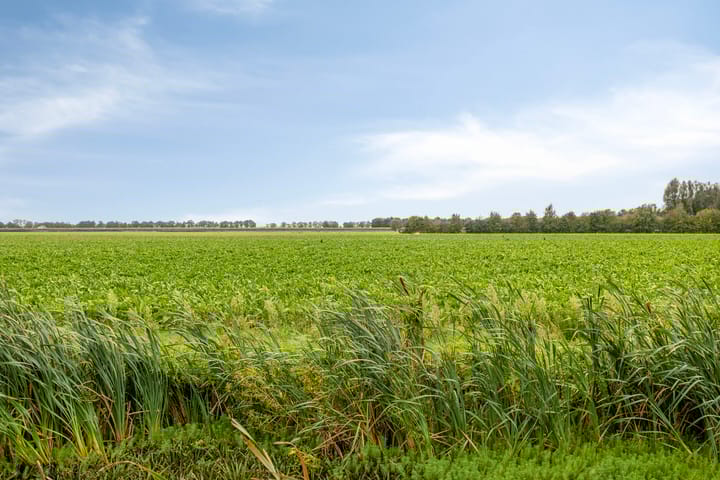 Foto 16 van Wortelboerstraat 53