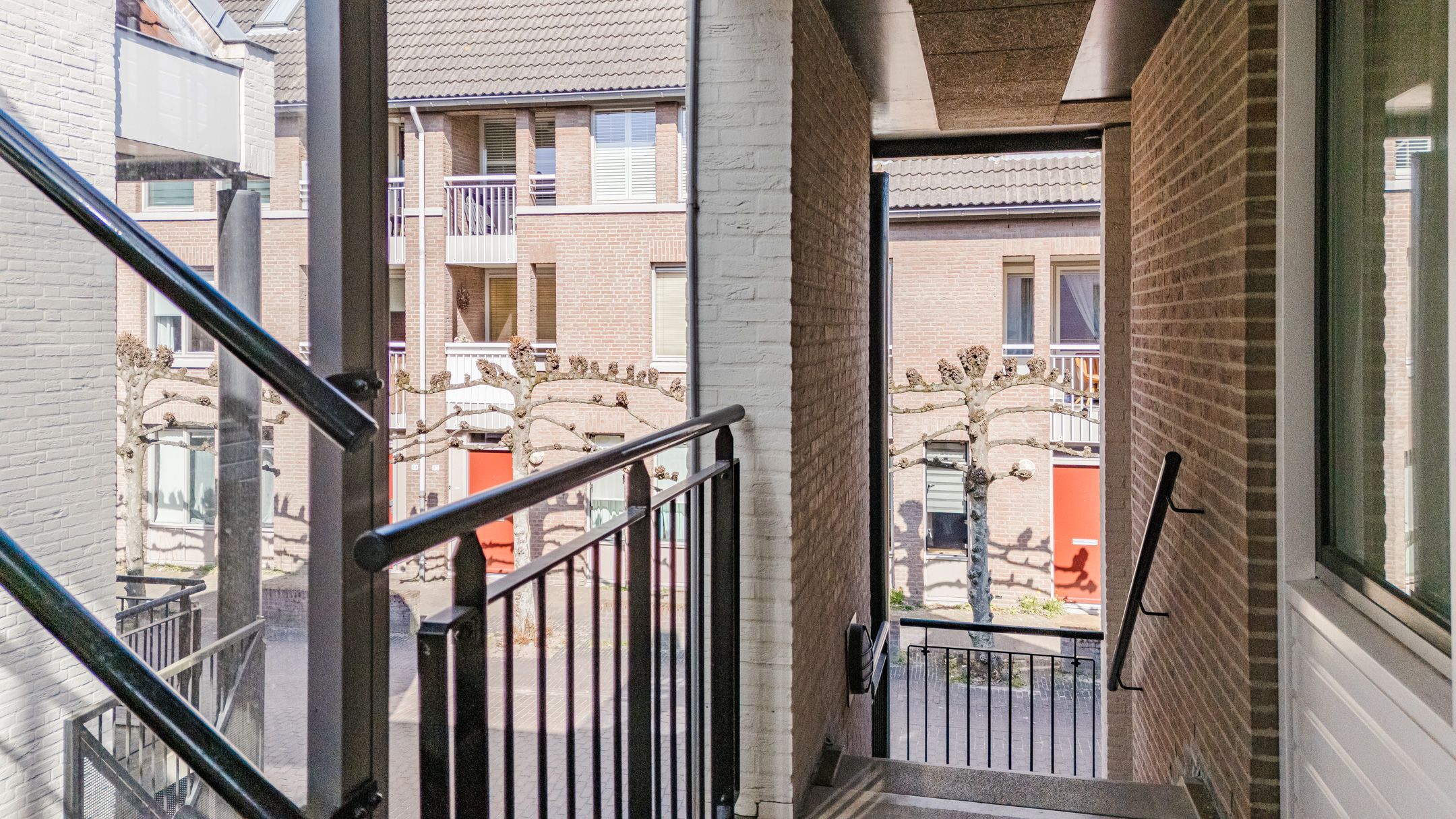 Foto 6 van de Moriaan 41-C