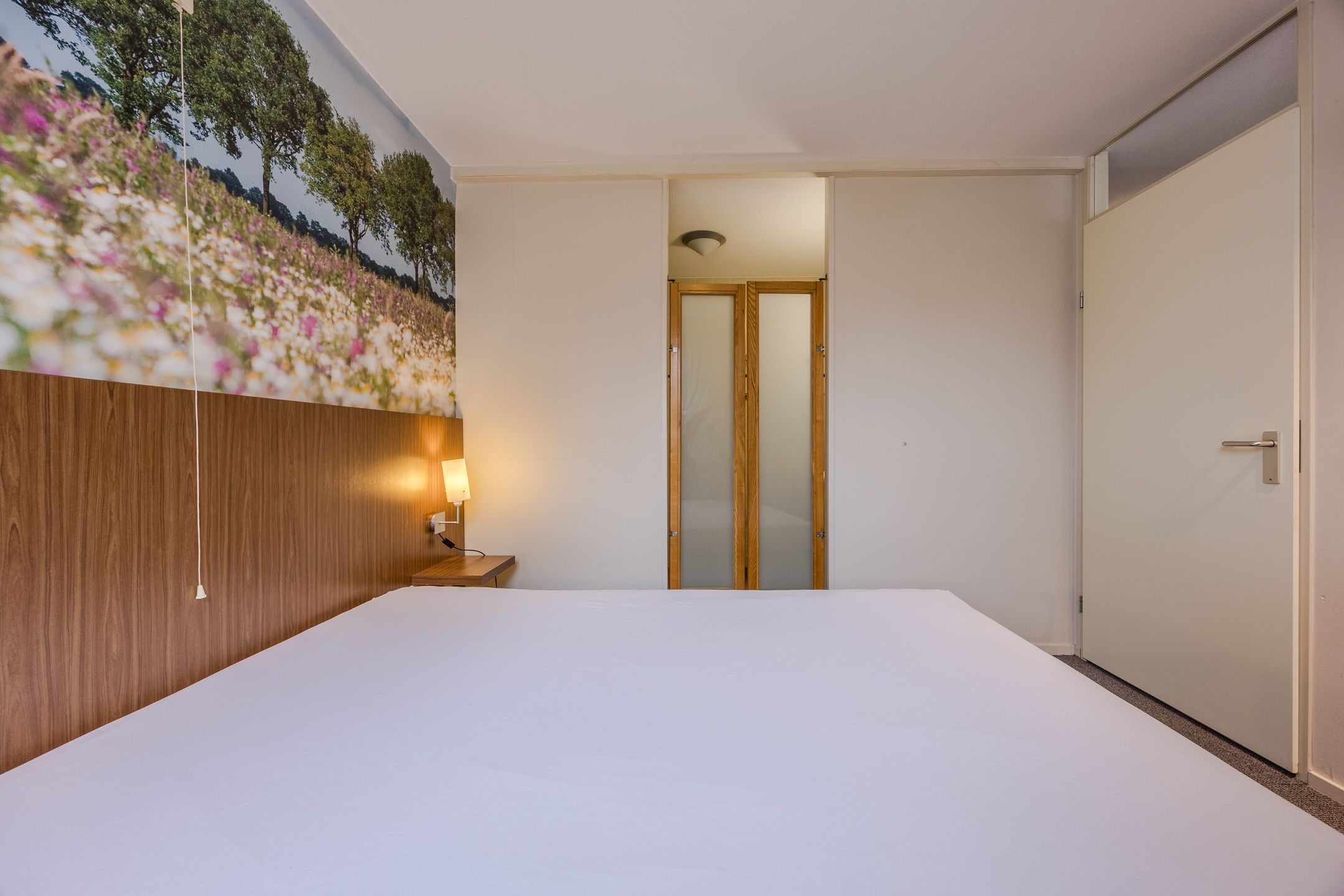 Foto 18 van de Moriaan 41-C