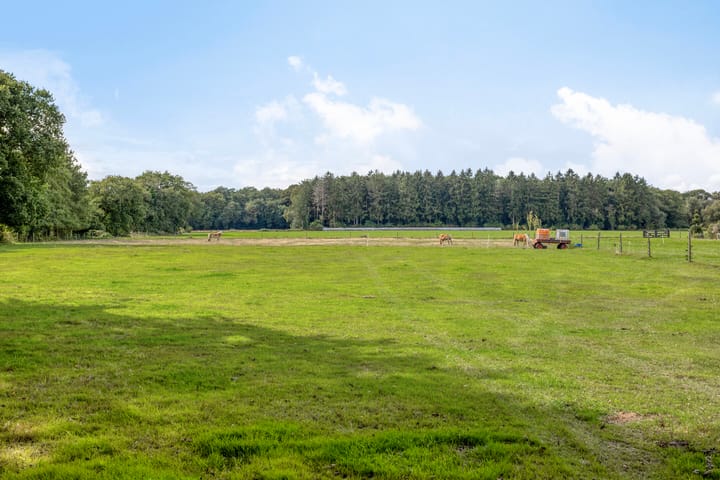 Foto 54 van Leeuwerikstraat 28