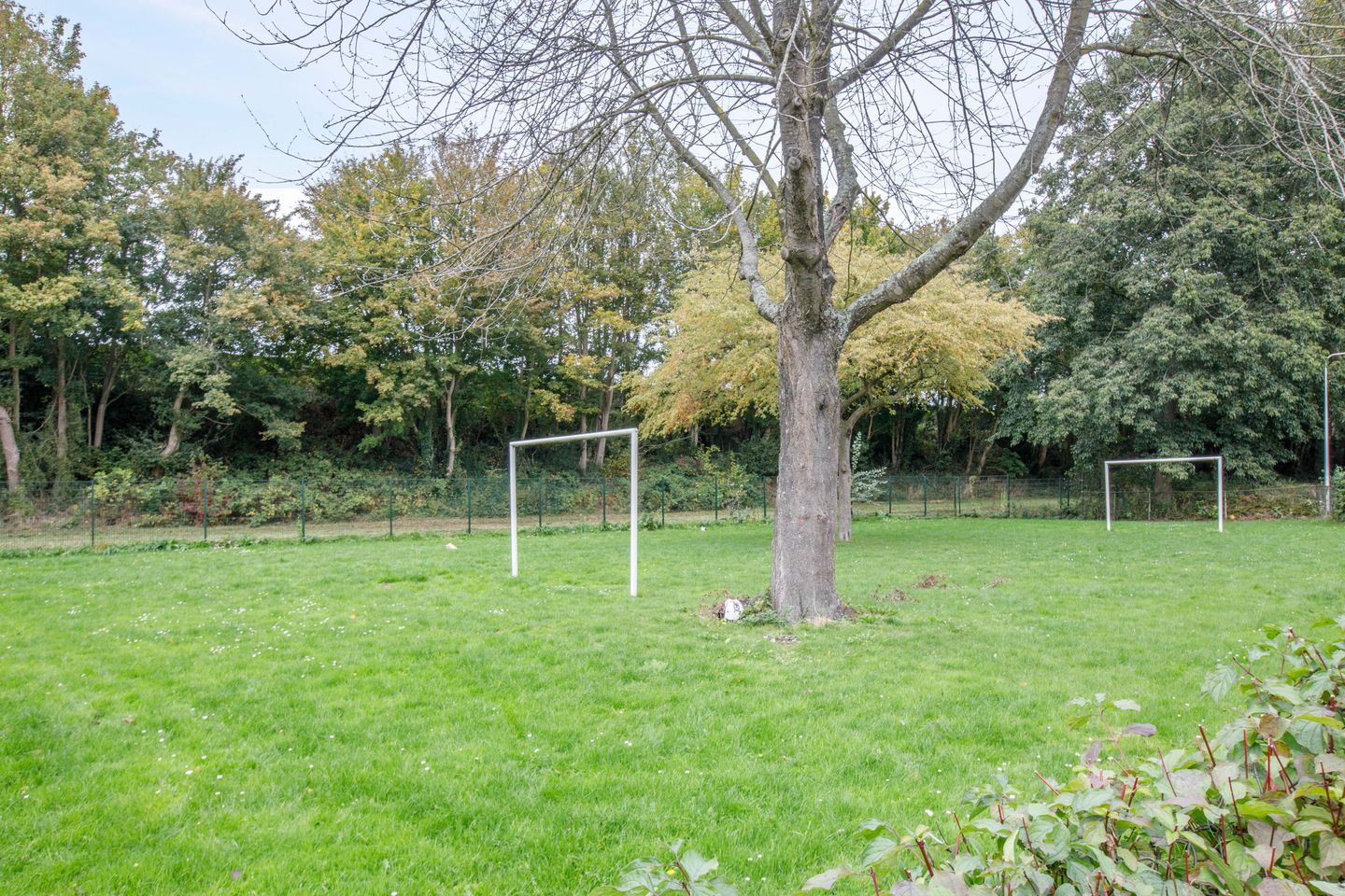 Foto 40 van Polderdreef 43