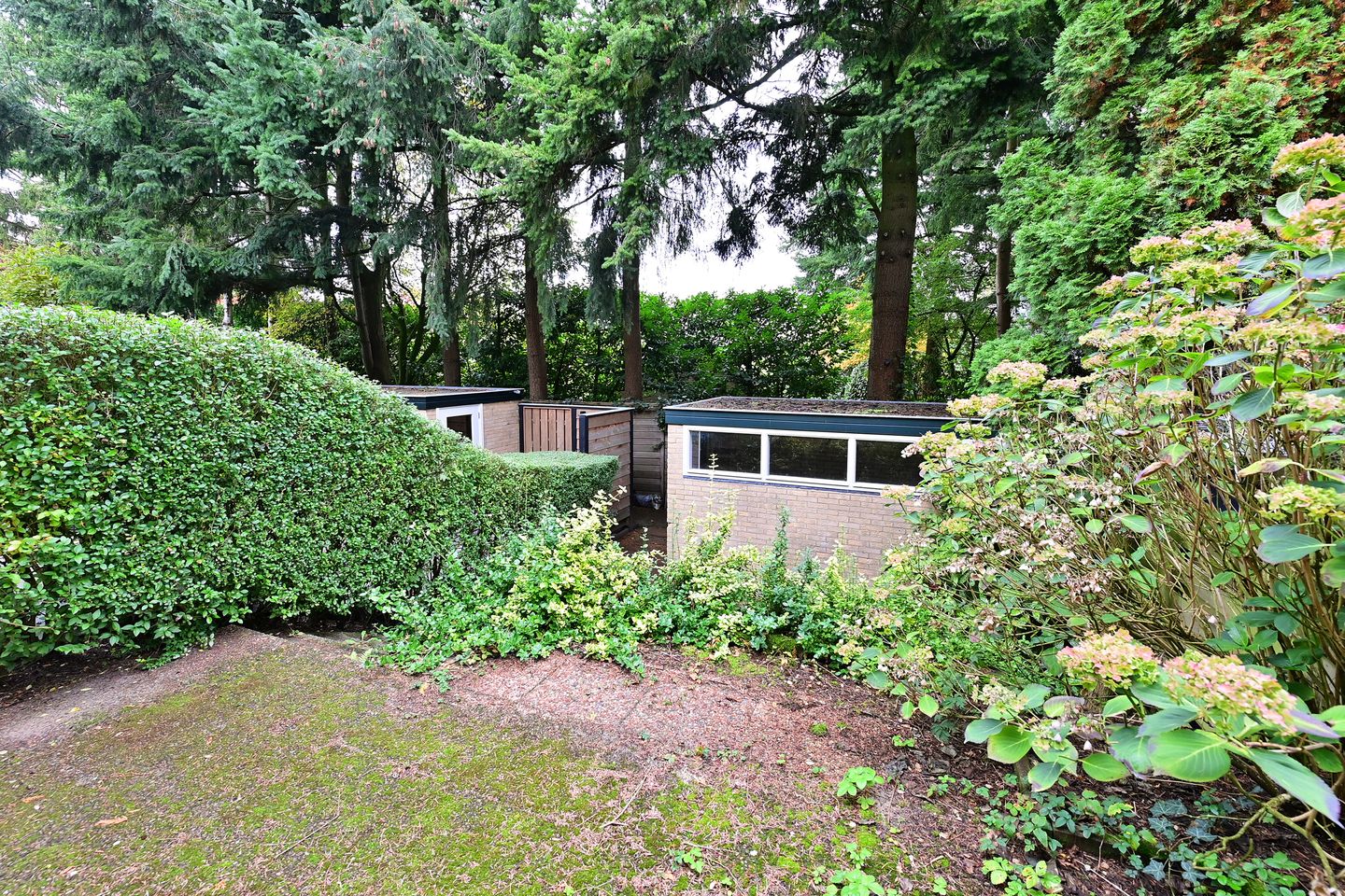 Foto 5 van Irenelaan 22