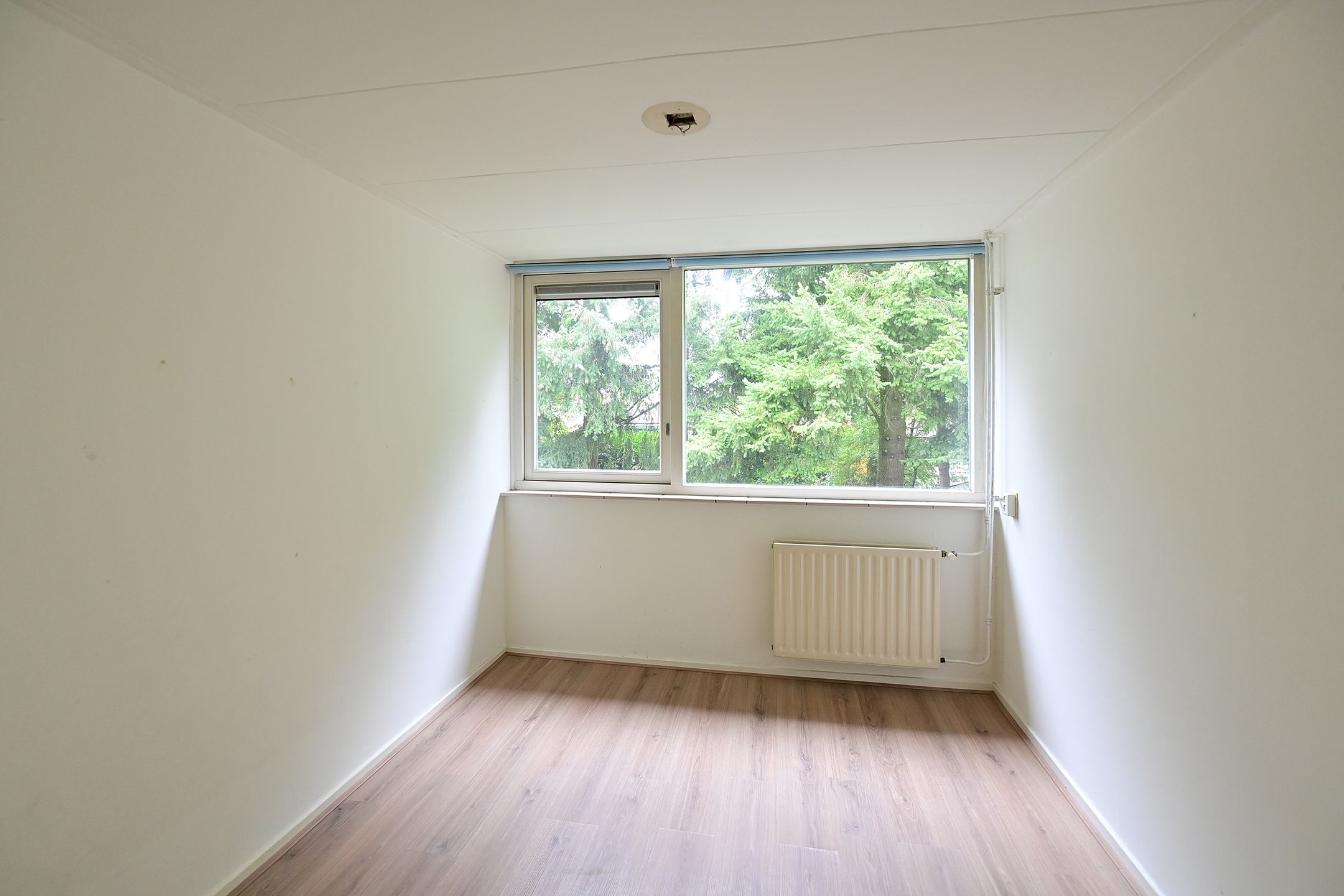 Foto 9 van Irenelaan 22