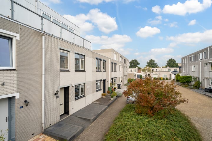 Foto 4 van Meloengeel 13