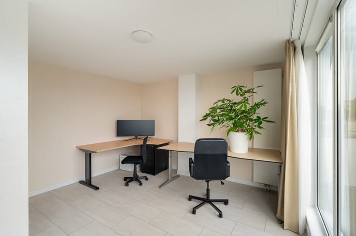 Foto 50 van Meloengeel 13