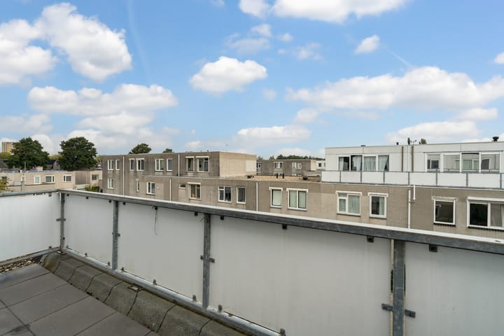 Foto 51 van Meloengeel 13