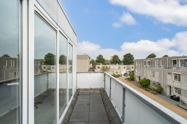 Foto 52 van Meloengeel 13