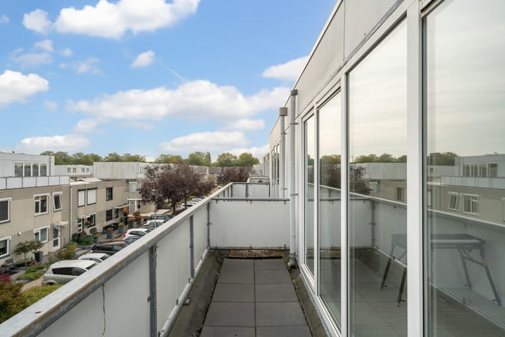 Foto 53 van Meloengeel 13