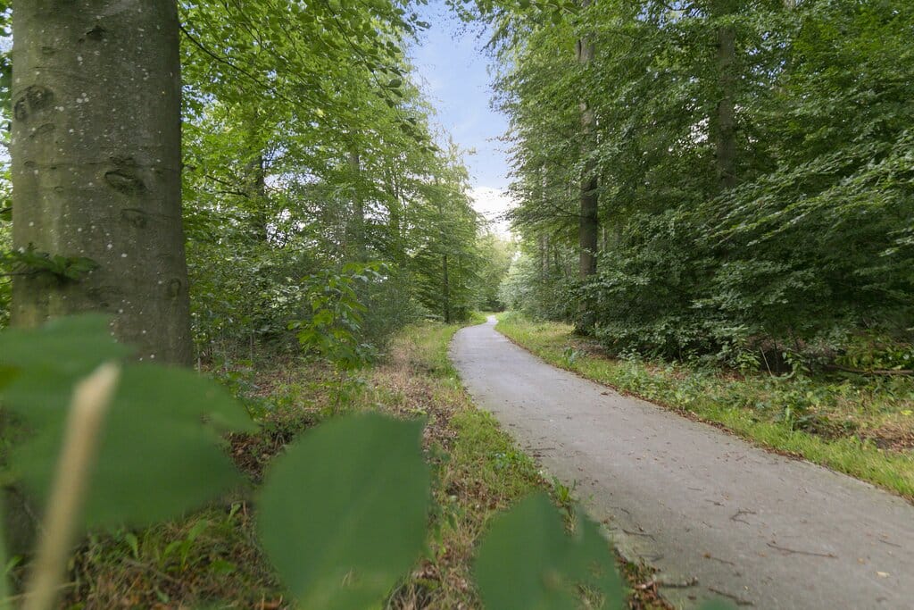 Photo 28 of Kloosterweg 8-A
