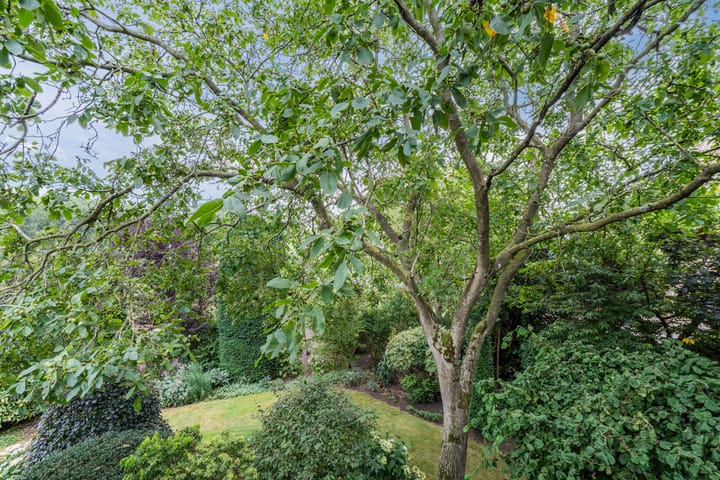 Foto 46 van Noordeinde 91