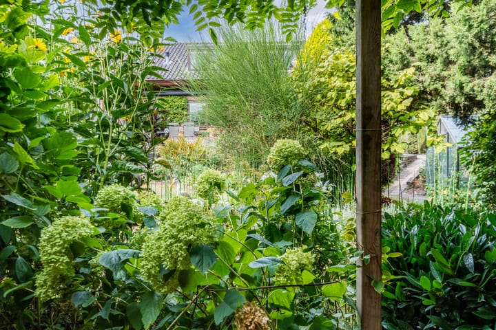 Foto 62 van Noordeinde 91