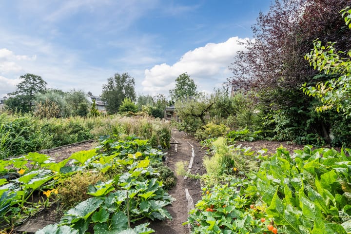 Foto 68 van Noordeinde 91