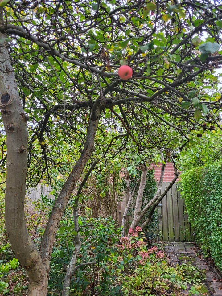 Foto 27 van Hoogmadeseweg 52