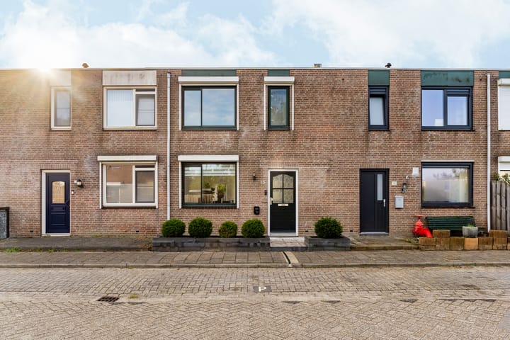 Foto 6 van Zaagvisplantsoen 13