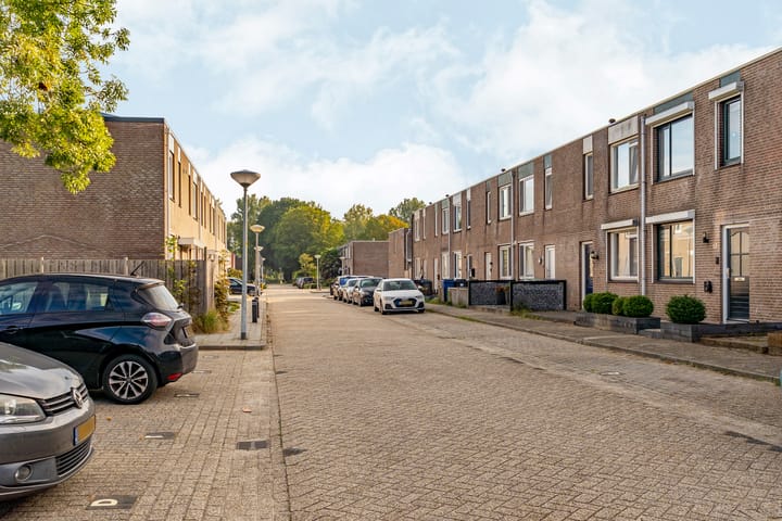 Foto 7 van Zaagvisplantsoen 13