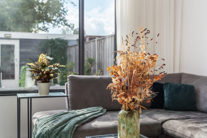 Foto 15 van Zaagvisplantsoen 13