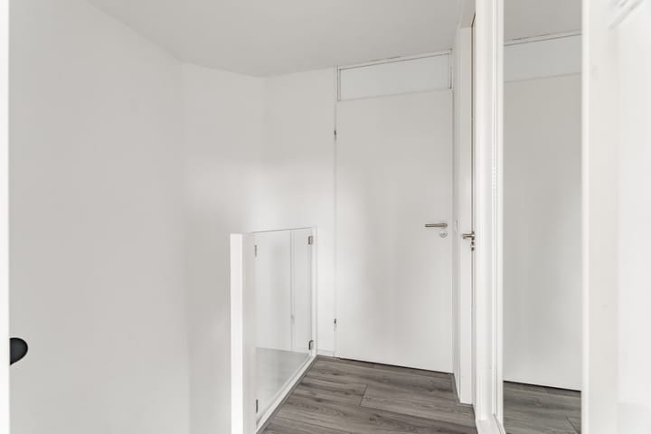 Foto 32 van Zaagvisplantsoen 13