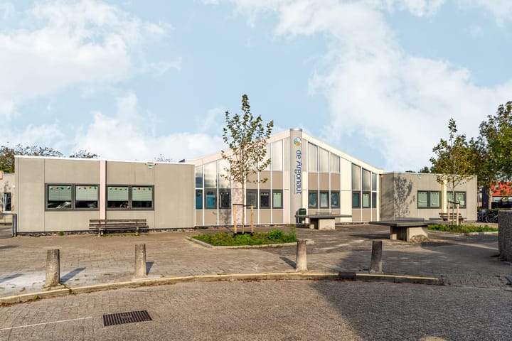 Foto 52 van Zaagvisplantsoen 13