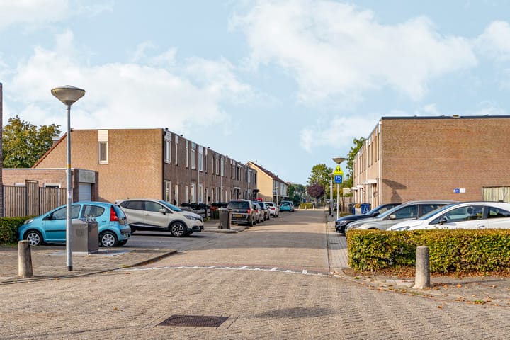 Foto 54 van Zaagvisplantsoen 13