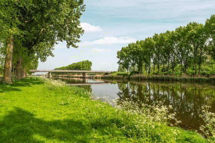 Foto 57 van Zaagvisplantsoen 13