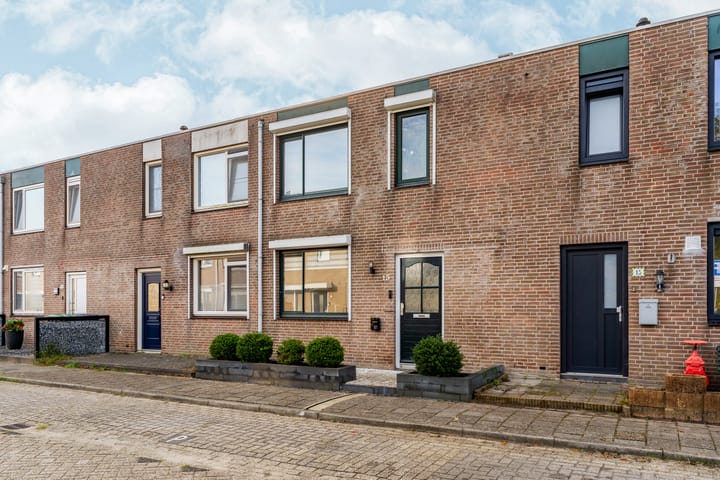 Foto 8 van Zaagvisplantsoen 13