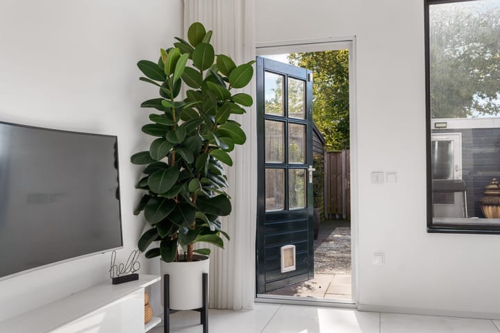 Foto 44 van Zaagvisplantsoen 13