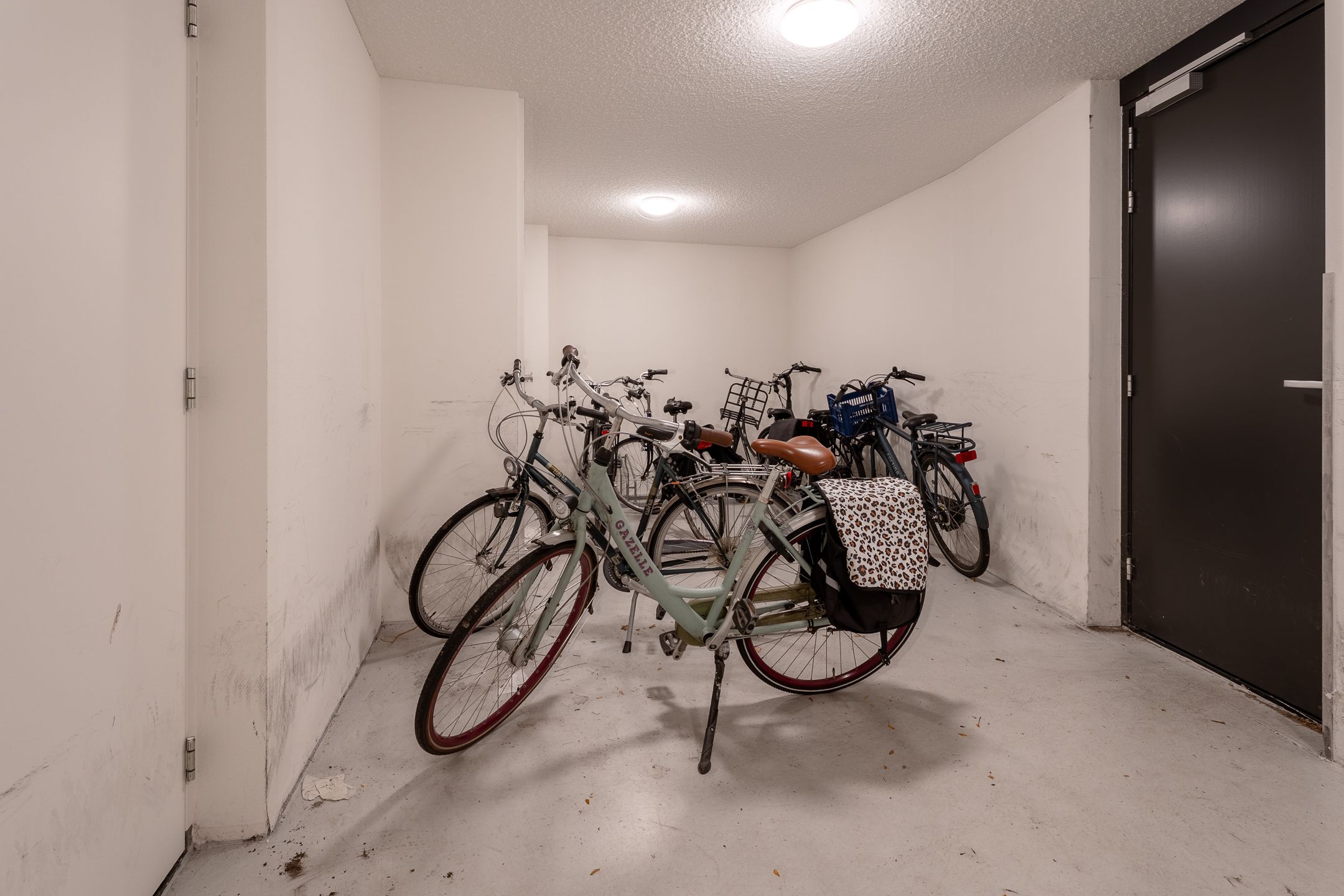 Photo 12 of Bisschop Zwijsenstraat 45-05