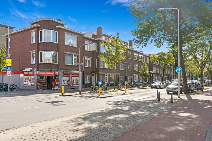 Foto 29 van Oudemansstraat 248