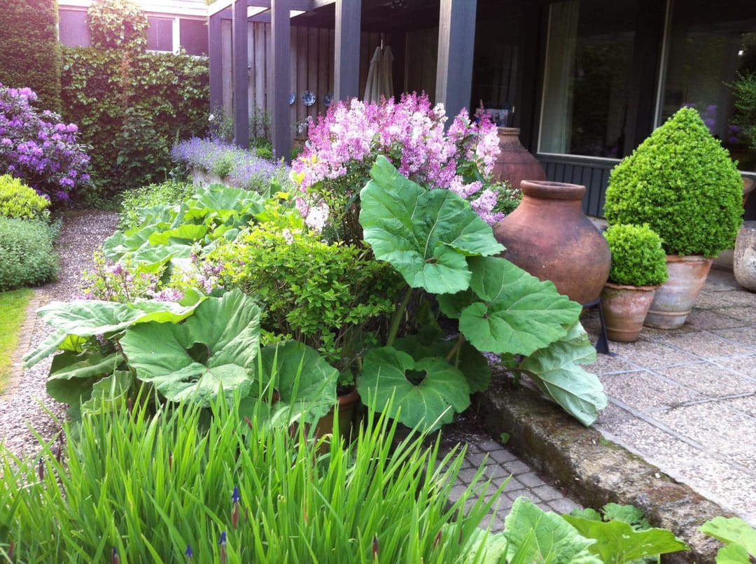 Foto 82 van Mgr Schravenlaan 3