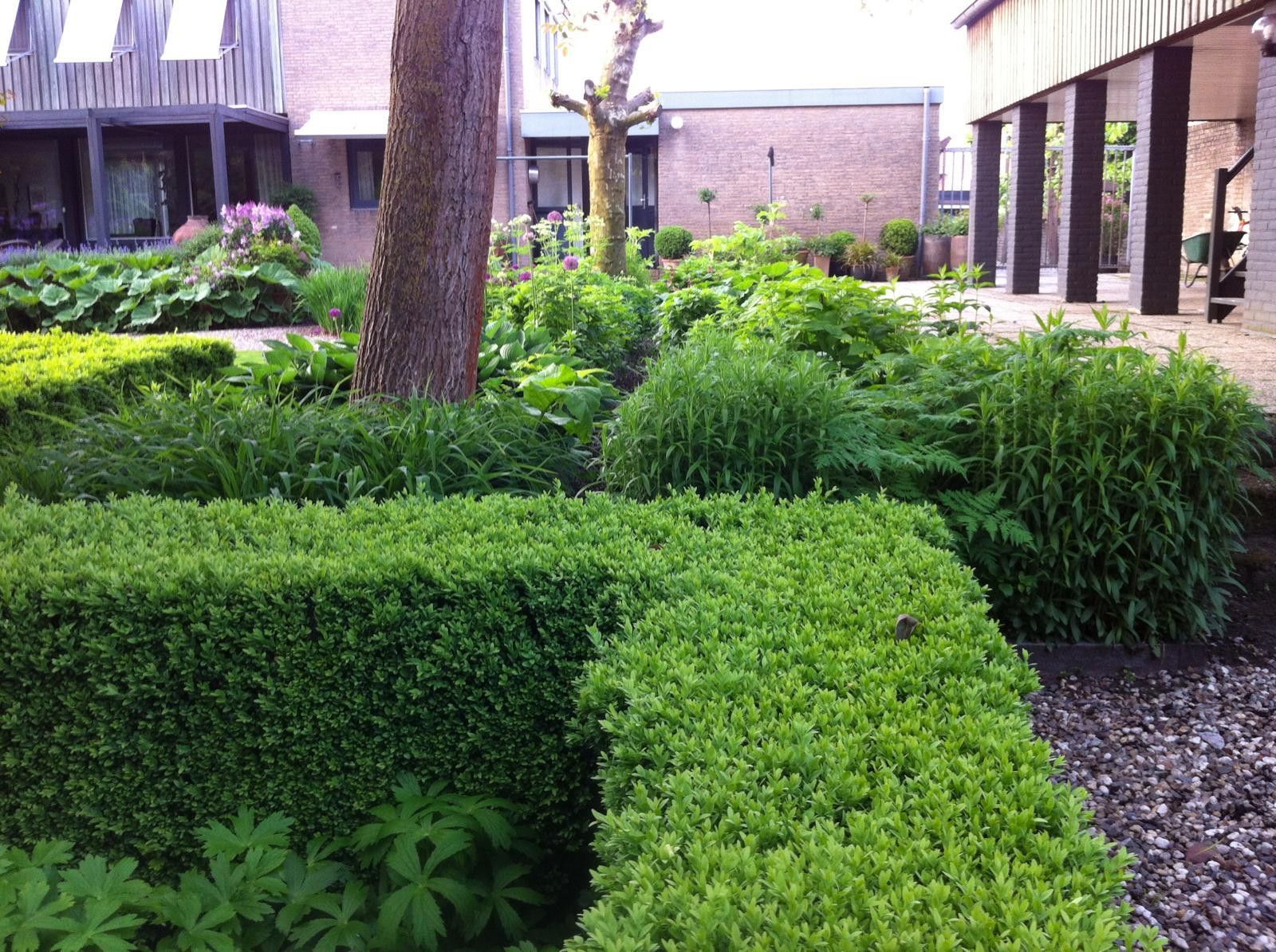 Foto 81 van Mgr Schravenlaan 3