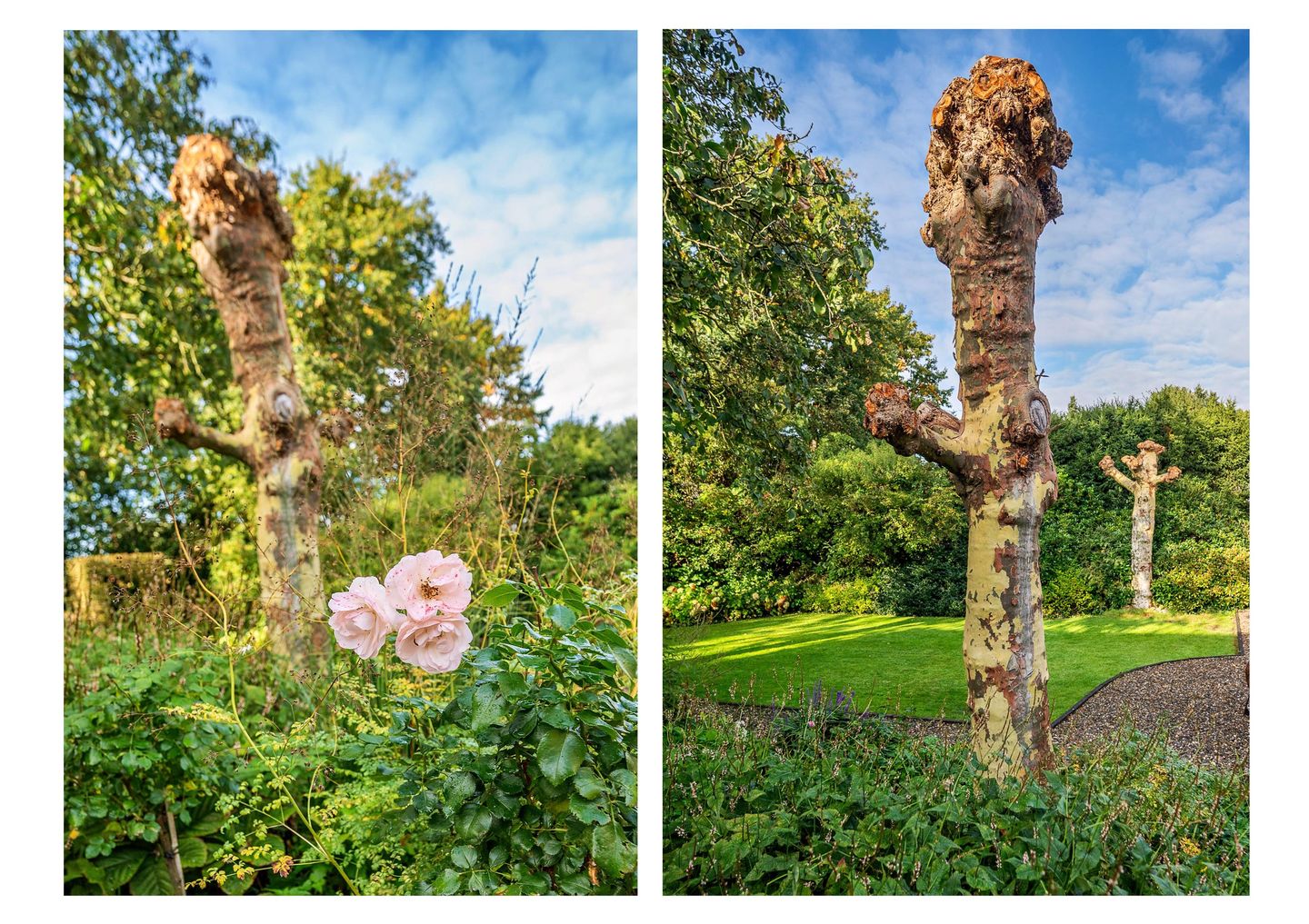 Foto 70 van Mgr Schravenlaan 3