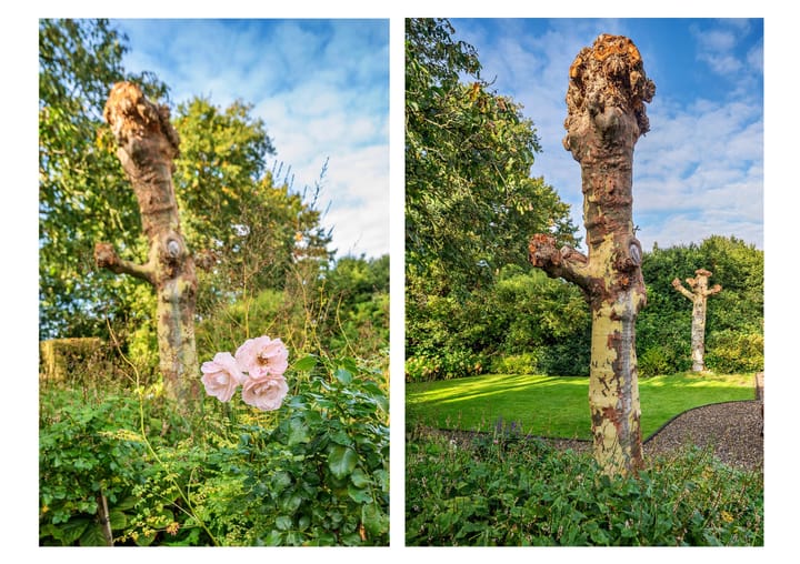 Foto 70 van Mgr Schravenlaan 3