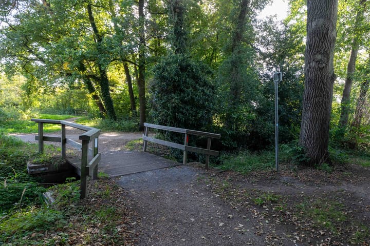 Photo 31 of Holthuizenbrink 42