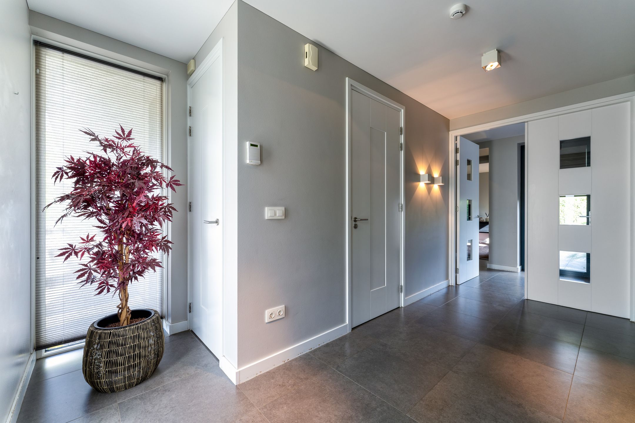 Foto 12 van Steigerschuit 33