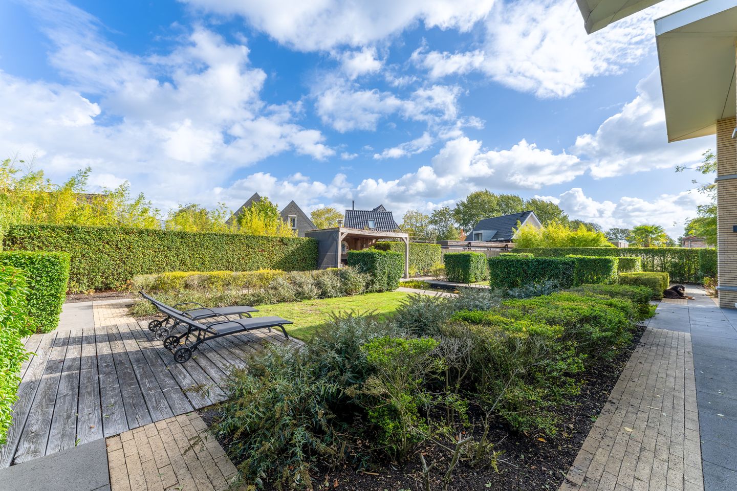 Foto 5 van Steigerschuit 33