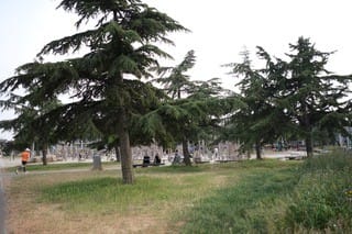 Photo 32 of Loosduinsekade 30