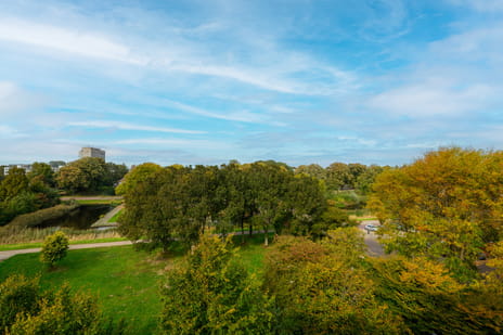 Burgemeester Keijzerlaan thumbnail