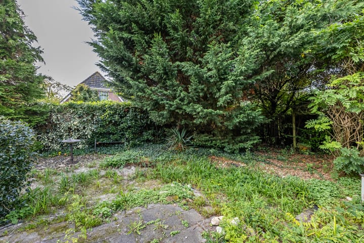 Photo 28 of De Stuw 8