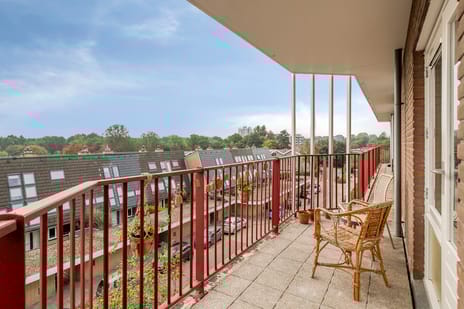 Pluimgras 56 tertiary image