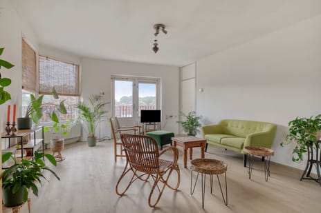 Pluimgras 56 secondary image