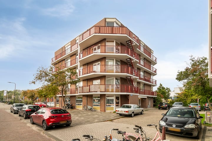 Pluimgras 56 main image