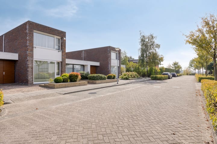 Photo 41 of Paardenbloem 5