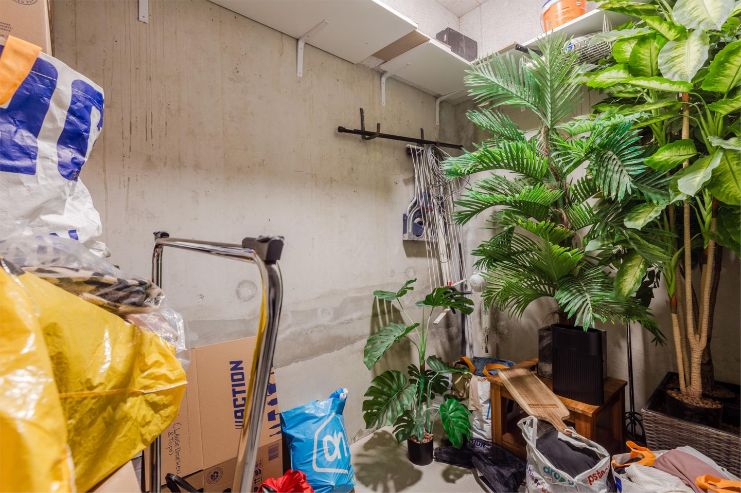 Foto 35 van Waalbandijk 247