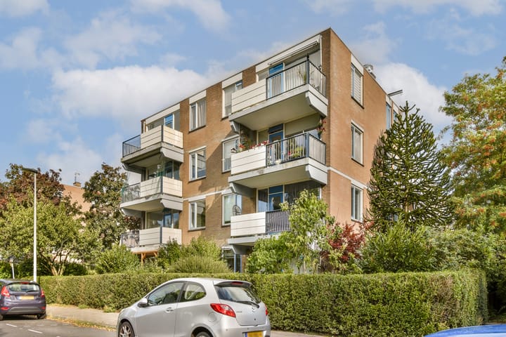 Foto 23 van Schelluinenstraat 6