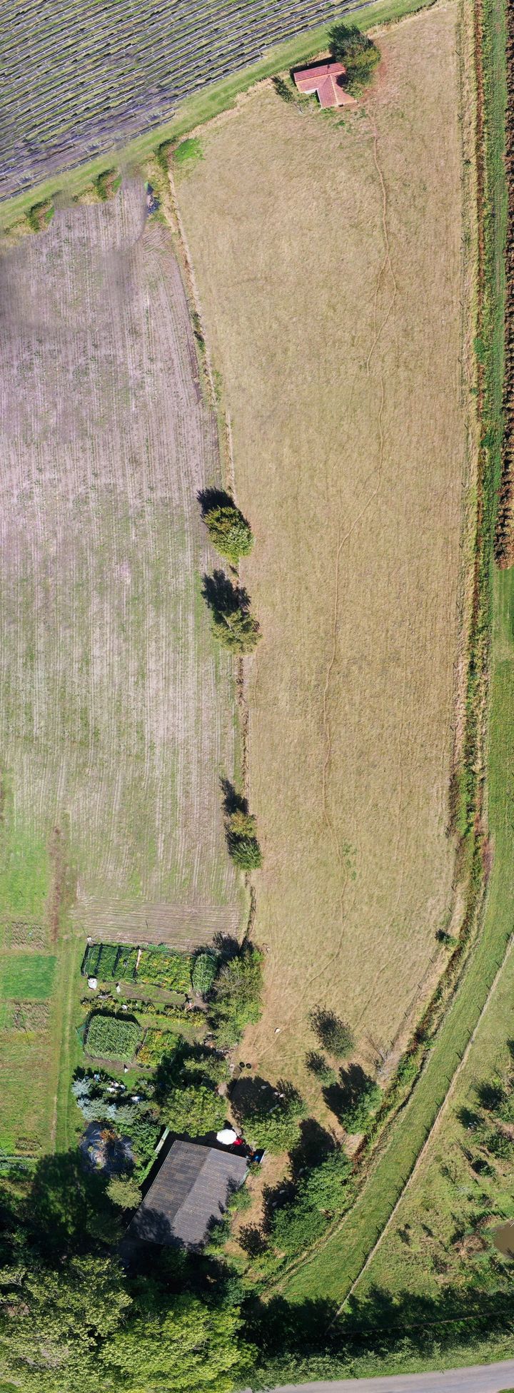 Photo 2 of Steenbergsestraat 2-C