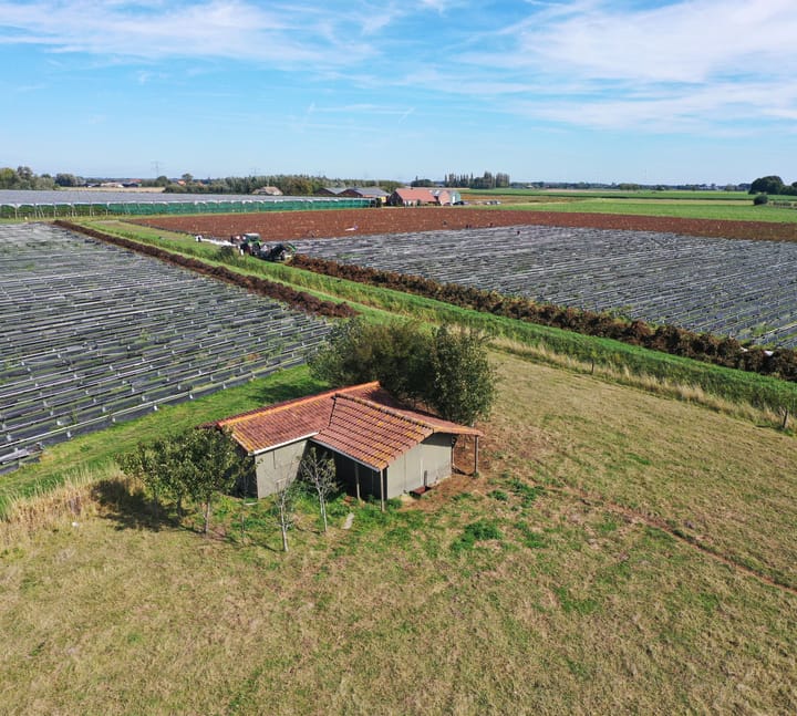 Photo 9 of Steenbergsestraat 2-C