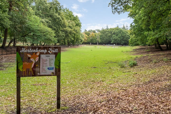 Foto 48 van Parklaan 14